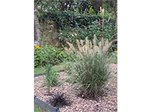 Garden in Motion